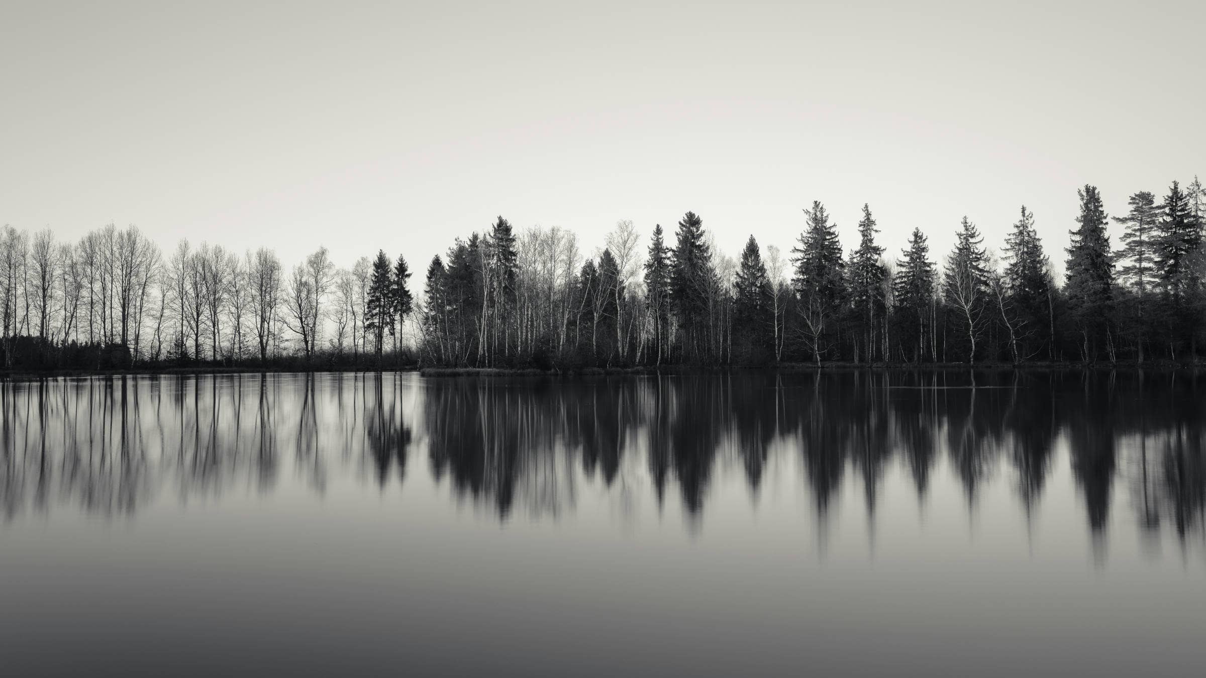 black and white photo of a lake and forest