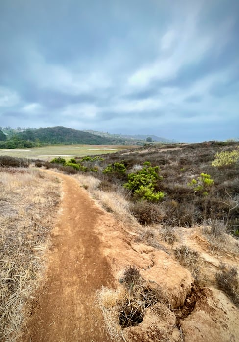 Stonebridge Trail at San Elijo Lagoon Ecological Reserve