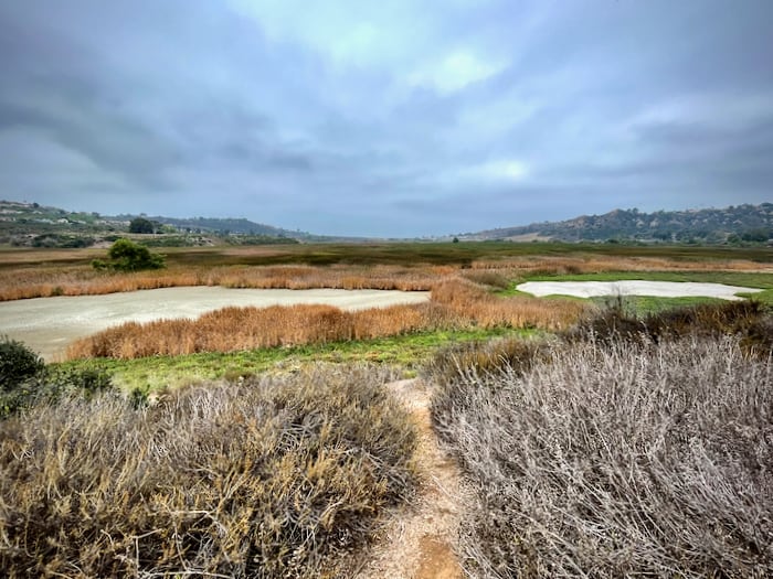 Overlooking the East Basin of the San Elijo Lagoon from Stonebridge Mesa