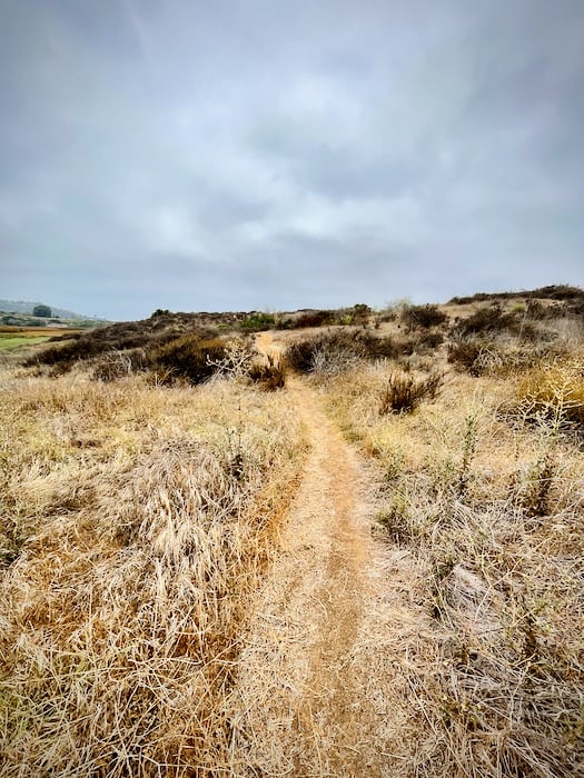 Stonebridge Trail at San Elijo Lagoon Ecological Reserve