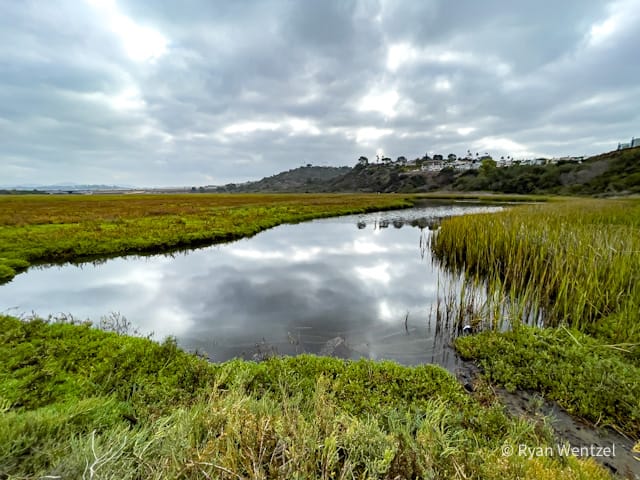 San Elijo Lagoon