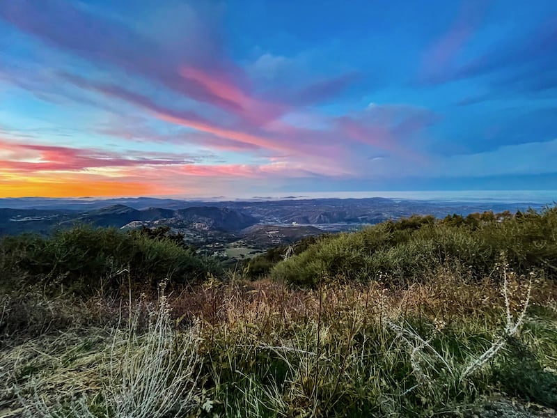 Palomar Mountain State Park