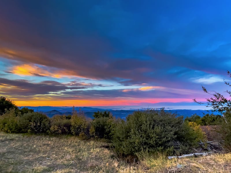 Palomar Mountain State Park