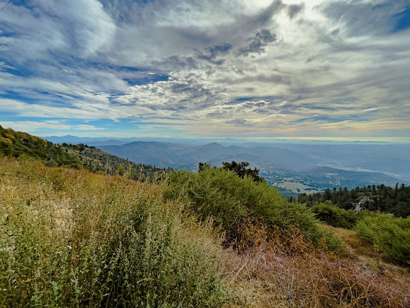 Palomar Mountain State Park