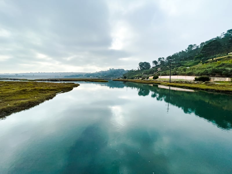 San Dieguito Lagoon, Del Mar, California, November 2021