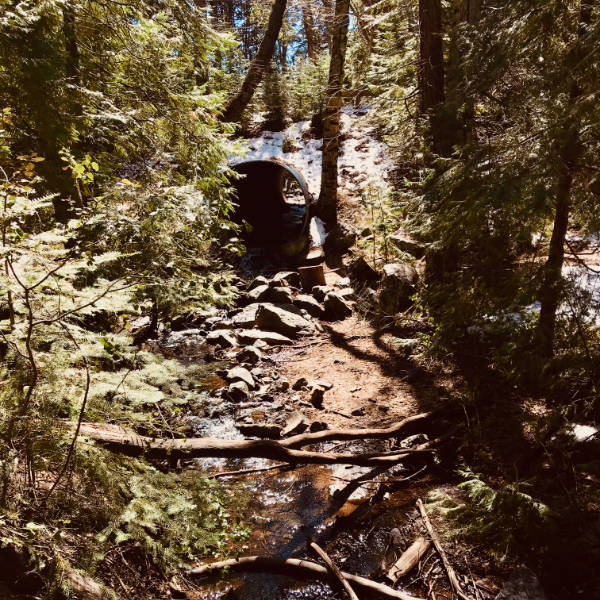 Stream at Palomar Mountain State Park