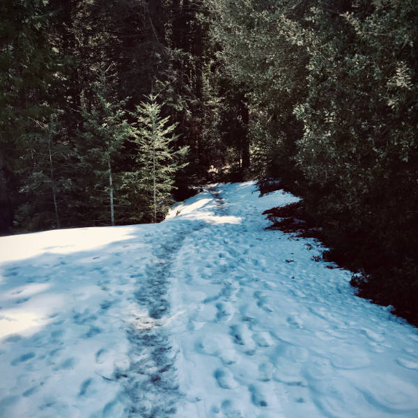 Snow on Weir Trail