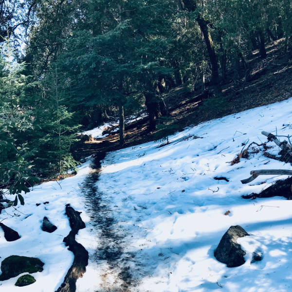 Snow on the trail