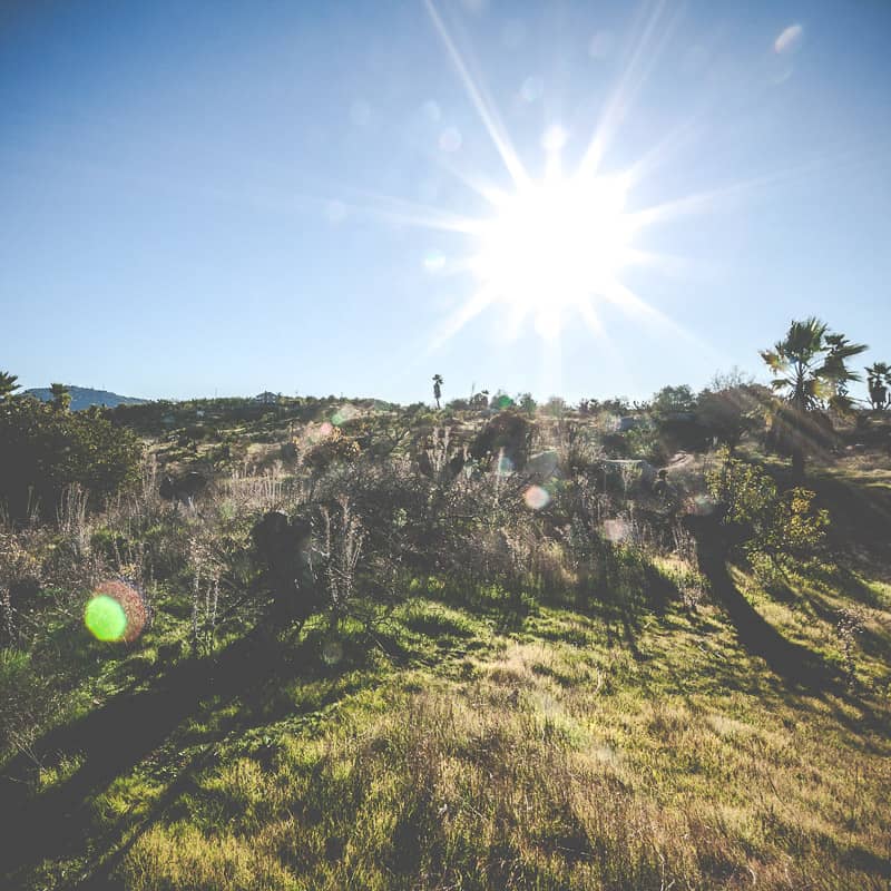 Hillside in Ramona, CA