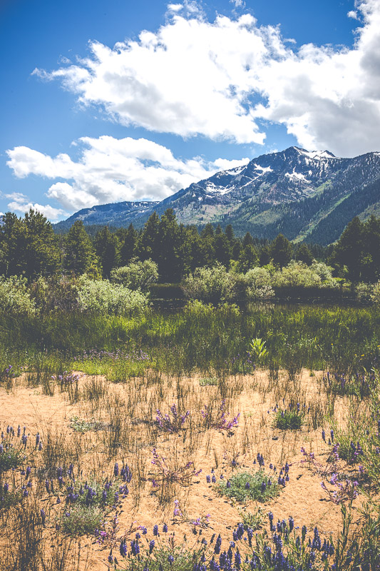 Mount Tallac viewed from South Lake Tahoe, June 2018