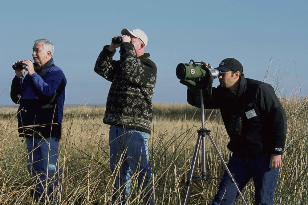 Men birdwatching