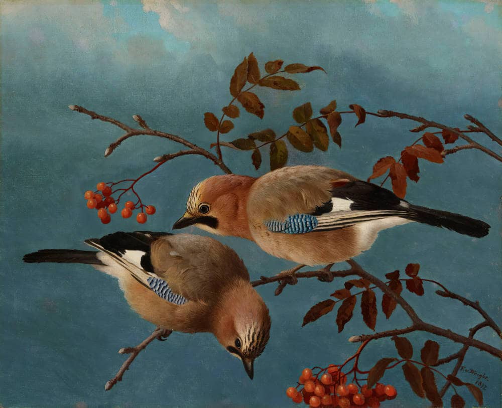 Ferdinand von Wright, Jays, 1877